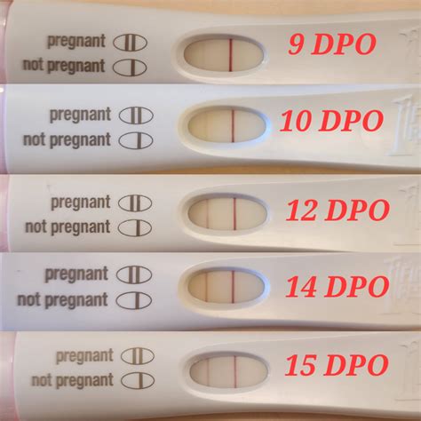 dpo 13 pregnancy test|More.